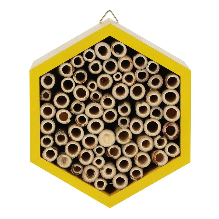 Bee Hotel - Yellow Hexagon Shaped Design